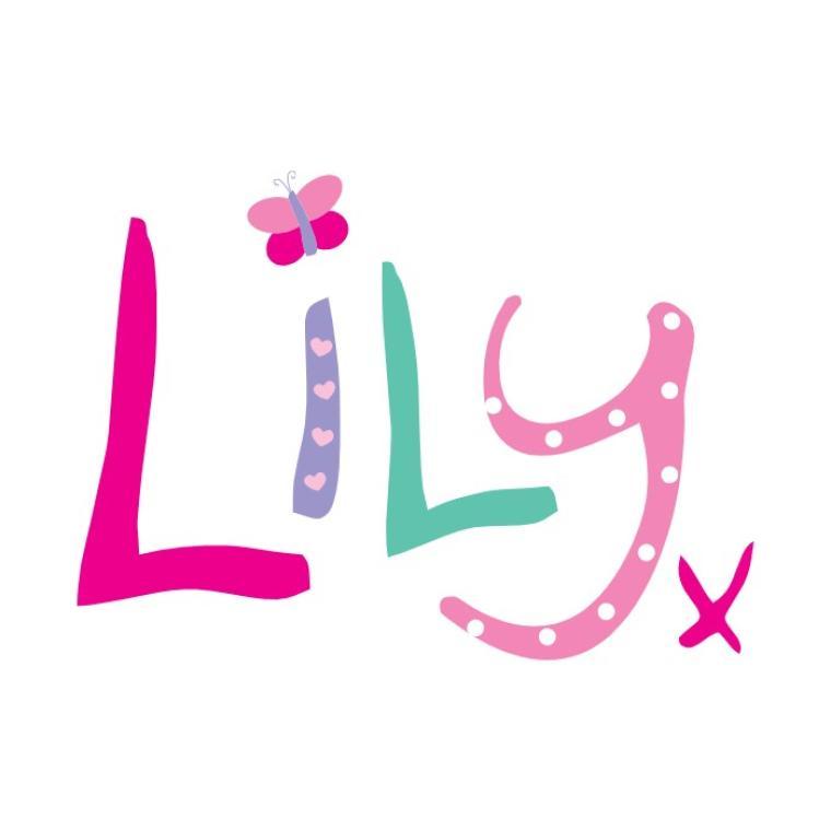 Photo of The Lily Foundation 