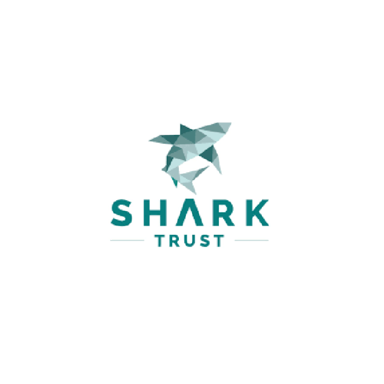 Photo of The Shark Trust 