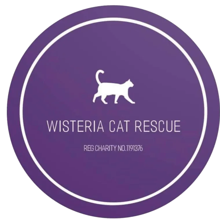 Photo of Wisteria Cat Rescue ​​​