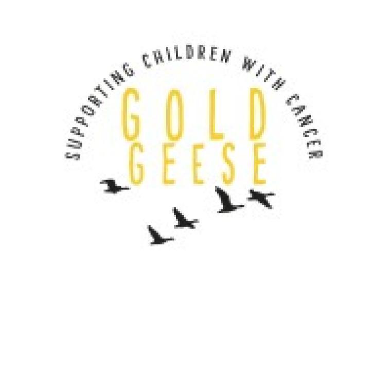 Photo of Gold Geese ​​​