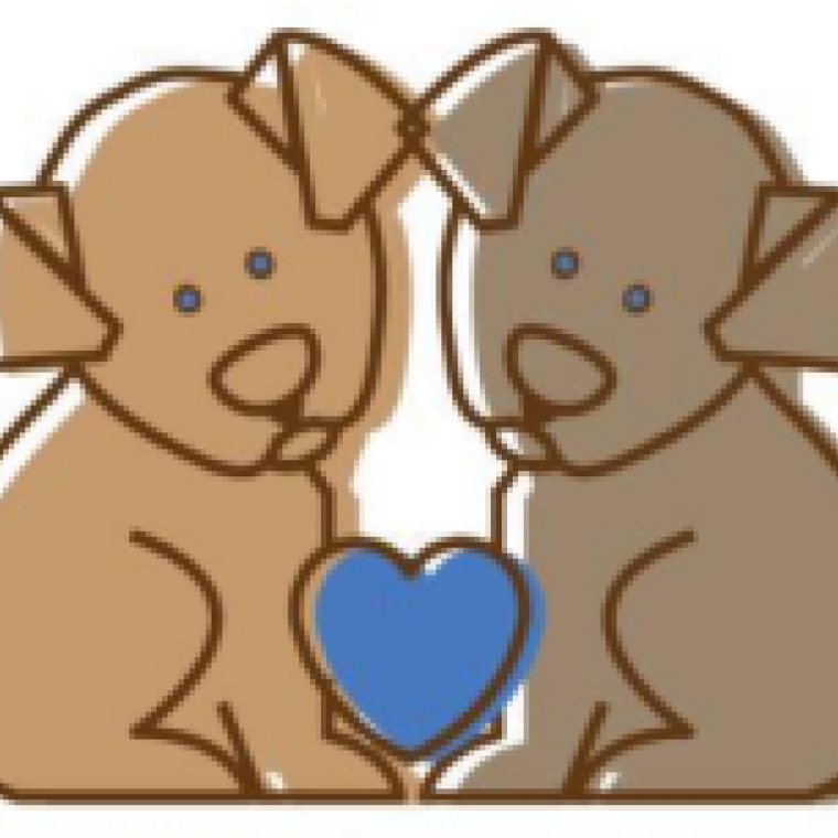 Photo of Saving Hope Foundation ​​​