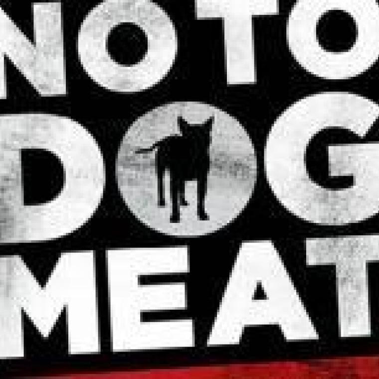 Photo of World Protection for Dogs and Cats in the Meat Trade ​​​