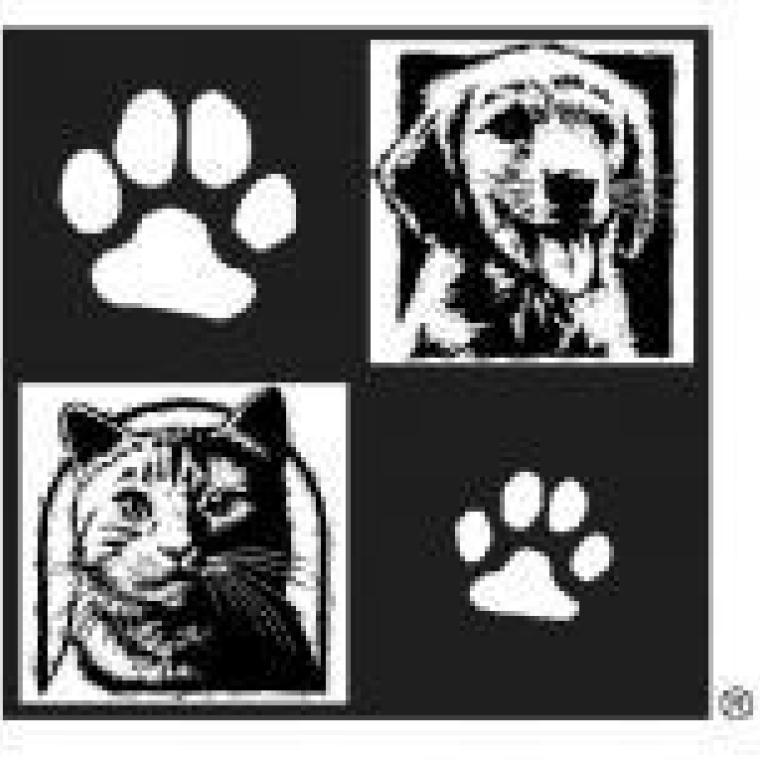 Photo of Friends of Parkville Animal Shelter ​​​