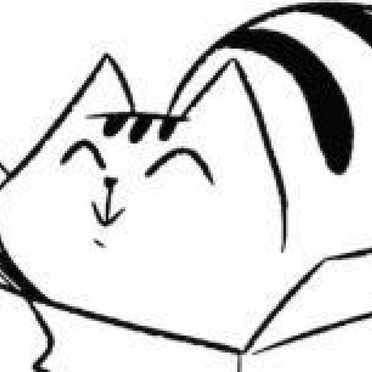 Photo of DeGats, defensa dels gats ​​​