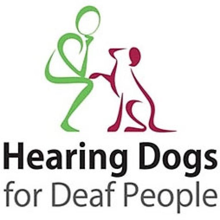 Photo of Hearing Dogs For Deaf People ​​​