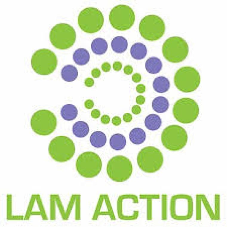 Photo of LAM Action ​​​