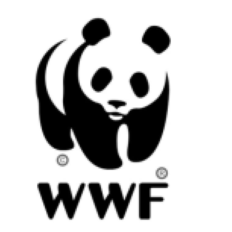 Photo of WWF ​​​