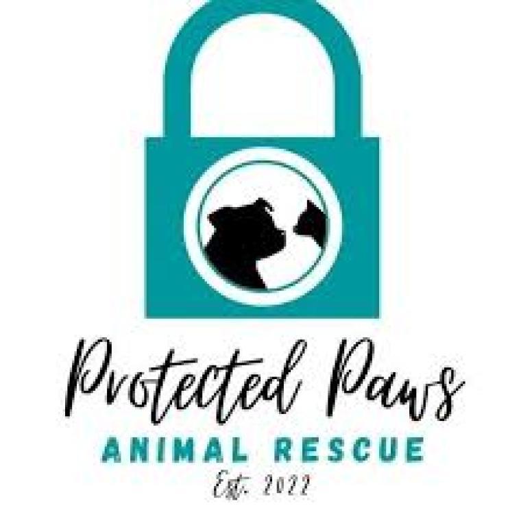 Photo of Protected Paws Animal Rescue ​​​