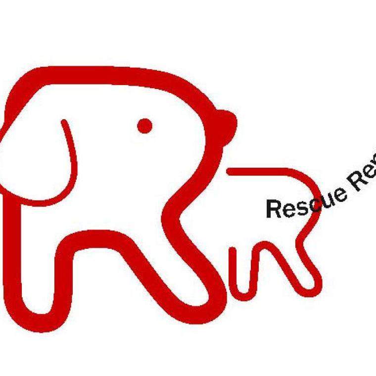 Photo of Rescue Remedies Dog Rescue ​​​