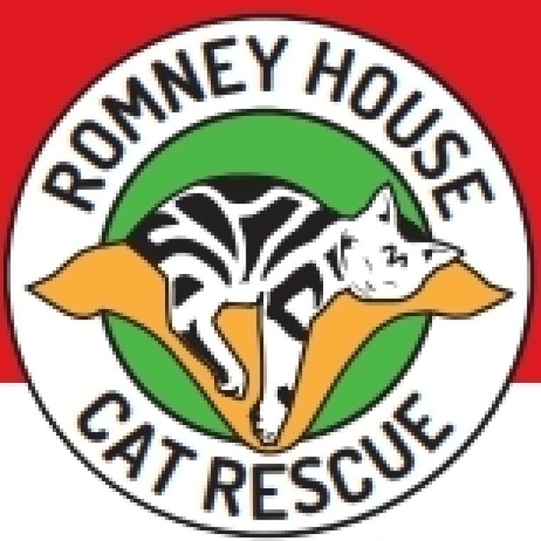 Photo of Romney House Cat Rescue ​​​