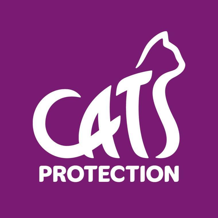 Photo of Cats Protection ​​​