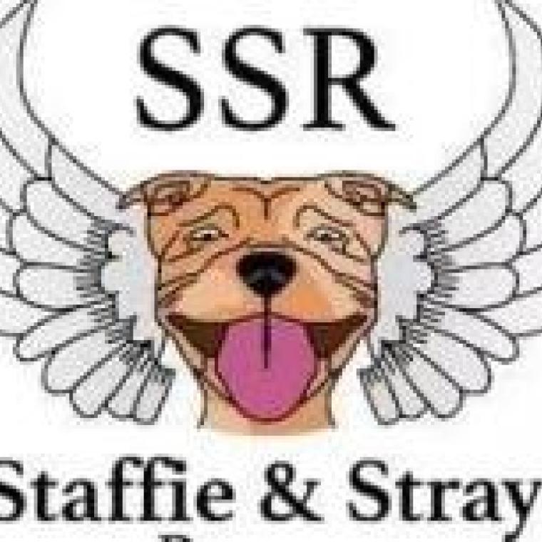 Photo of Staffie and Stray Rescue ​​​