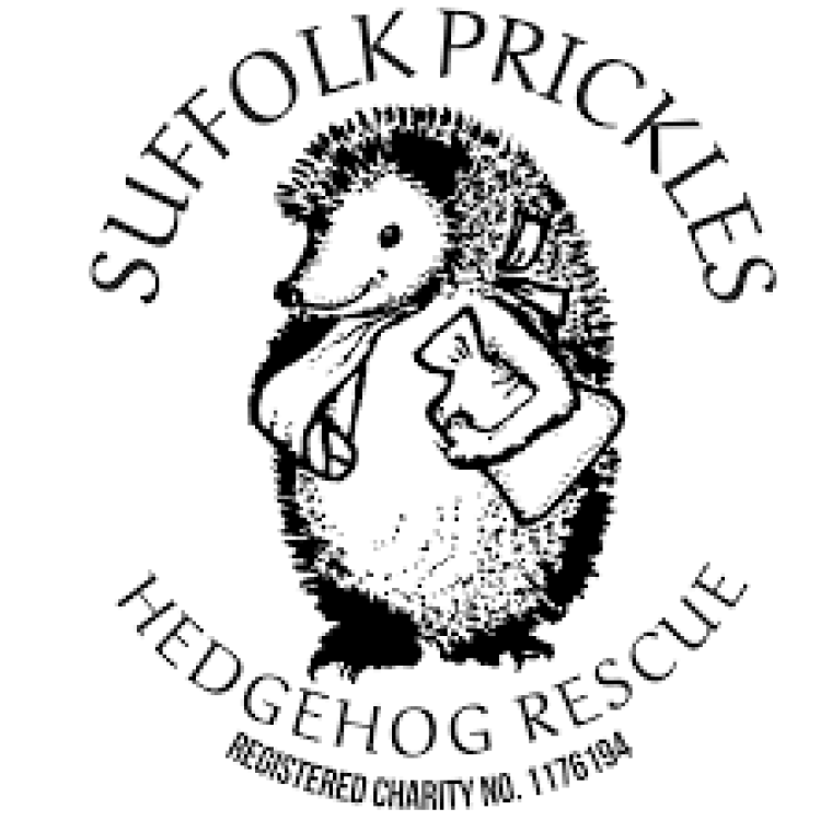 Photo of Suffolk Prickles Hedgehog Rescue ​​​